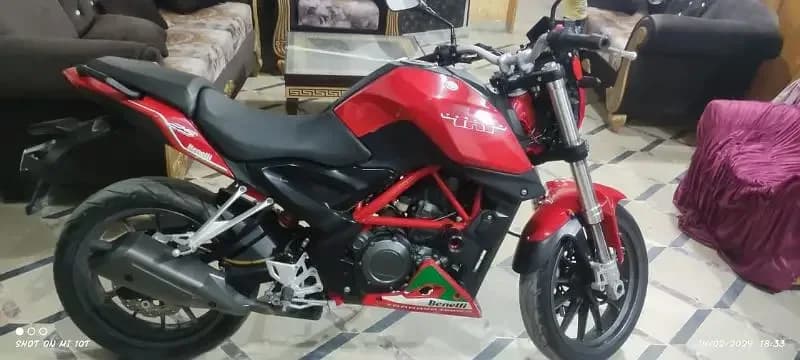 benelli tnt 25